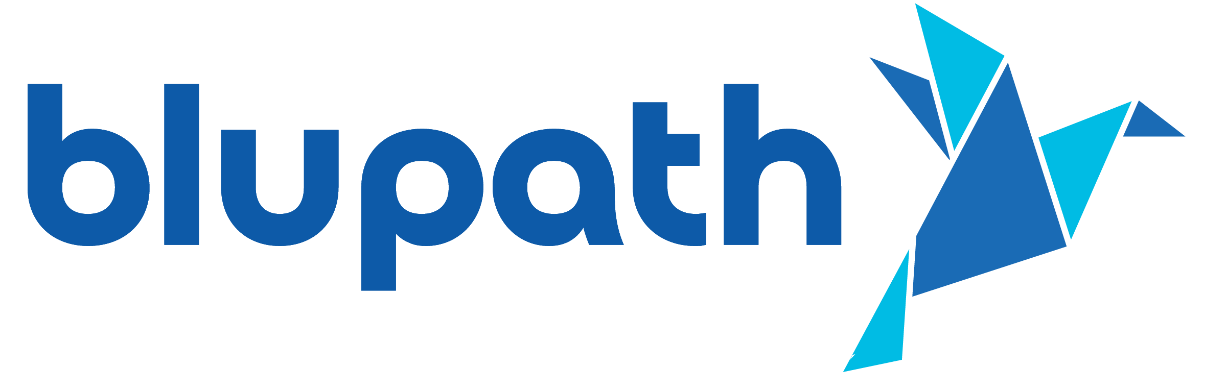 Blupath Logo Blue